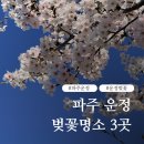 그늘막35 | 파주 운정 벚꽃 명소 3곳｜운정호수공원부터 산내공원까지 산책 코스 후기