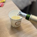 리커하우스 | 와인용품 와인 악세사리 추천 리커하우스 와인 푸어러 디스크 후기