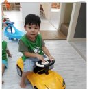 꼬마대통형 이미지