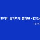 고운눈썹
