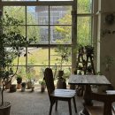 우주라이크 커피 미사강변점 | 하남 미사 브런치 카페수우, 브리가지 샌드위치와 로제크림라자냐 후기