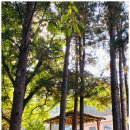 자연과  건강 | 포천요양원 자연과 함께 건강한 일상과 믿을 수 있는 곳!