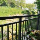 [내돈내산] 용인 고기리계곡 다닐목 - 한방백숙