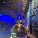 땅끝해양자연사박물관 이미지