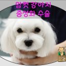 타잔동물병원 이미지