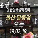 응급실국물떡볶이울산 - 남구 돋질로76번길 17 | 응급실국물떡볶이울산