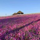 014-운정1-014 이미지