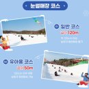 향리낚시터(향리저수지) | 서울 근교 빙어낚시 7곳 추천 - 위치/가격/운영기간/근처놀거리/꿀팁/후기