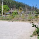 우미이노스빌공인중개사사무소 | [공지] 용인 죽전 부동산 주간 일지