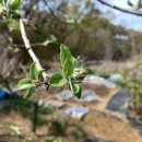 태농농장 이미지