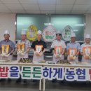 김밥데이 이미지