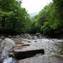 푸른숲황토방 이미지