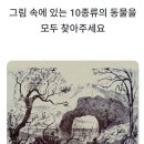 눈썰미펌 이미지