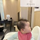 주문진 터미널앞 | 주문진 횟집 어부한상 가성비 좋은 오마카세 맛집