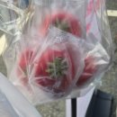 계룡농업기술센터본관 | 2026 청주 딸기 팝업 페스타 축제 실시간 이강내쌀찐빵 디저트 먹고왔어요