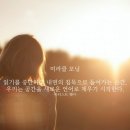 마이모닝 이미지