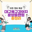 플랜멍 강아지분양&미용 대구 북구점 | 대구북구강아지분양플랜멍 대구 북구에서 만나는 행복