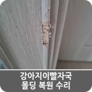 야양동 | 강아지이빨자국 몰딩 복원 수리