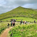 곰배령 주니네 이미지