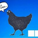 그림퀴즈 하나 더 이미지