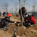 나무를 심는 사람들 이미지