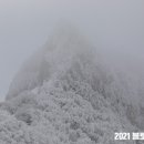 한라산방역