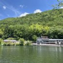 (주)금빛물고기 이미지