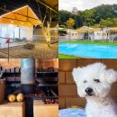 트리풀하우스 | 포천 애견동반 글램핑 트리풀하우스 찜질방 / 불멍 / 개별마당