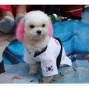 한누리 태권도장 이미지