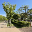 시민공원 이미지