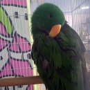 인천조류원 이미지