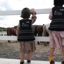 수당목장 이미지