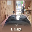 EMS 케어 원적외선 체온 찜질 L라파셀 덕정점 후기