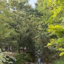 옥당걸숲속 | 경북 캠핑장 힐링하기 최고였던 옥당걸 숲속캠핑장