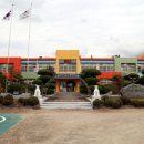 자천초교 영천뉴스24