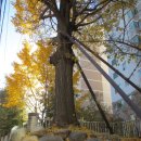 중동대림아파트 이미지