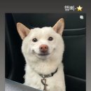 리더스식자재할인마트(풍기) | [1박2일 봉화여행] 라온누리펜션, 백두대간수목원