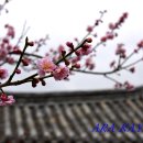남사-16 이미지
