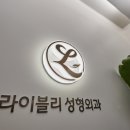 라이블리성형외과의원 이미지