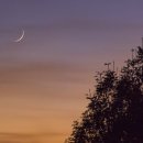 달이 떴다고 전화를 주시다니요 이미지