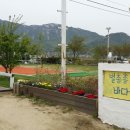 별총총바다풍경 이미지