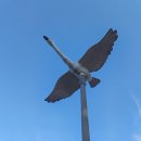 미사뚝방산책로 이미지