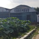태환농장 이미지