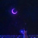 또 하나의 별 이미지