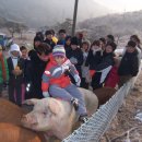 행복한돼지 - 노원구 월계로44길 68-6 | 행복한돼지
