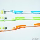 미시간치과의원 네이버블로그