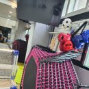 단국대스타태권도장 이미지