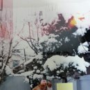 뽀순이