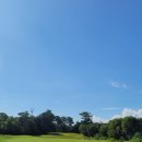 그린샷 골프클럽 이미지