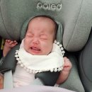 주니지 | 주니픽스 어린이 안전벨트 가드 7살 쌍둥이 남매착용후기